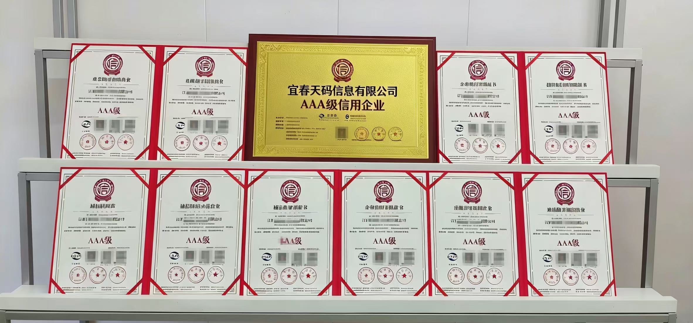 企业级资质与荣誉证书